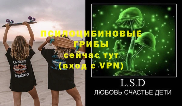 ешки Абинск