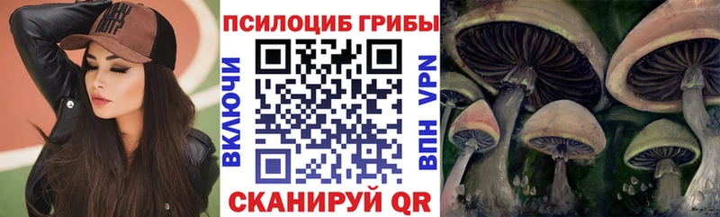 Псилоцибиновые грибы Psilocybine cubensis  Лебедянь 